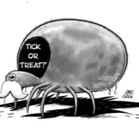 Tick or treat